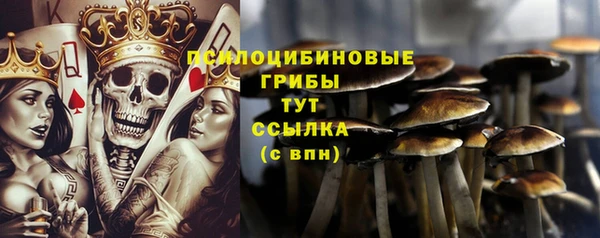 каннабис Надым