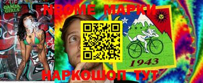 прущие крисы Гатчина