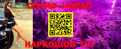 гашик Абакан