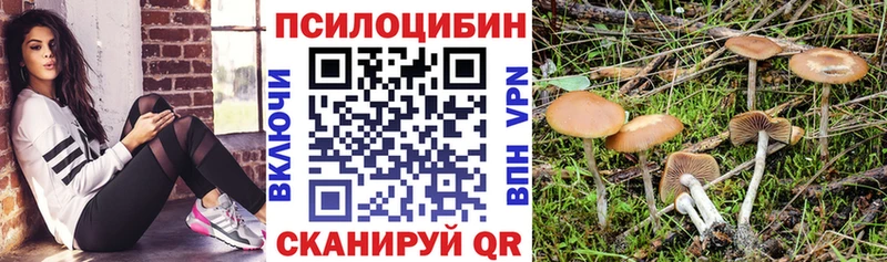 Галлюциногенные грибы мицелий  Алексин 