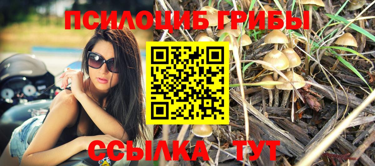 Галлюциногенные грибы Cubensis  Вход с VPN  что такое наркотик  Псилоцибиновые грибы ЛСД  Алексин 