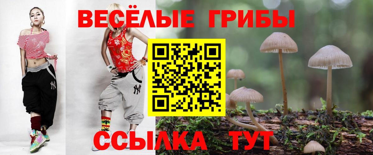 Галлюциногенные грибы GOLDEN TEACHER  Вход с VPN  Алексин 